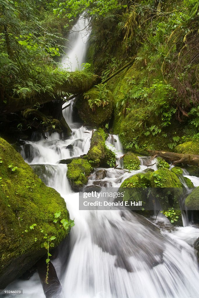 Merriman Falls