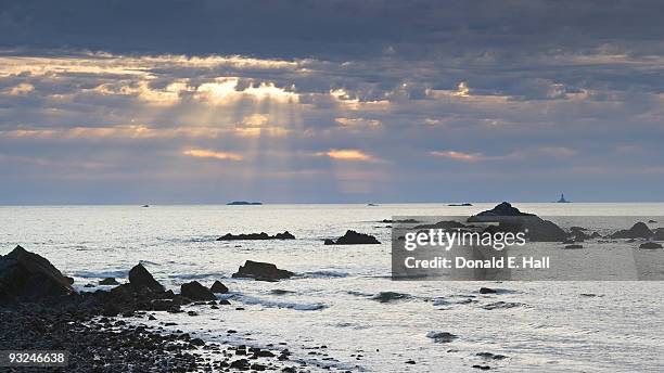 1,222 Saint Rays Stock Photos, High-Res Pictures, and Images - Getty Images