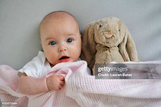 baby in bed with soft toy - stuffed toy stock pictures, royalty-free photos & images