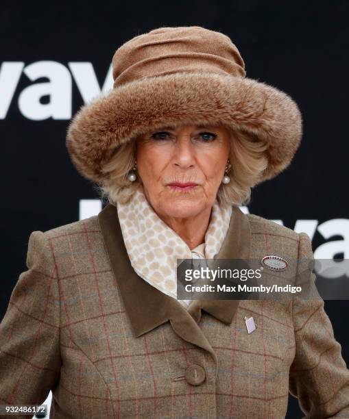 Camilla, Duchess of Cornwall attends day 2 'Ladies Day' of the Cheltenham Festival at Cheltenham Racecourse on March 14, 2018 in Cheltenham, England....