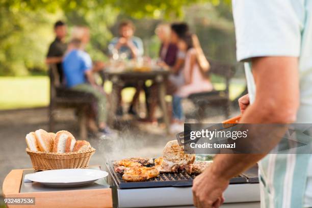 preparing food at picnic - cooking chicken imagens e fotografias de stock