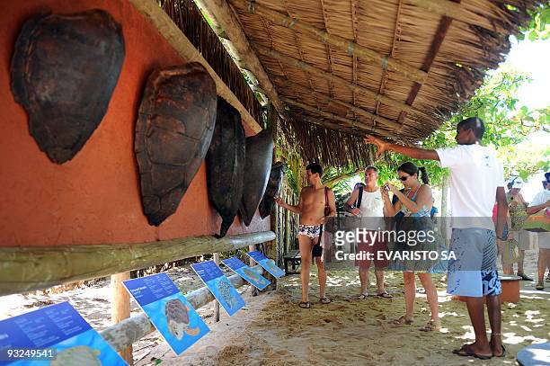 Visitors look at sea turtle hulls in the TAMAR Project Visitor Center in Praia do Forte, Bahia State, on November 13, 2009. The TAMAR Project has...