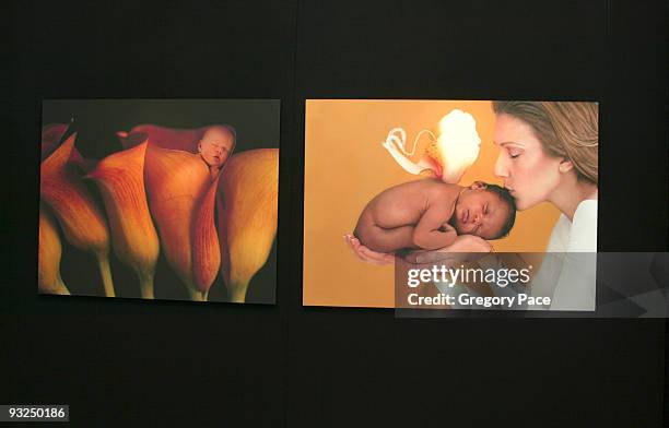 Anne Geddes photos of Celine Dion