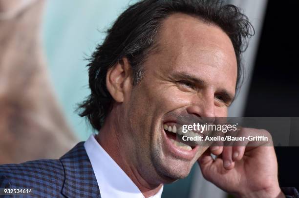 Actor Walton Goggins attends the Los Angeles Premiere of 'Tomb Raider' at TCL Chinese Theatre IMAX on March 12, 2018 in Hollywood, California.