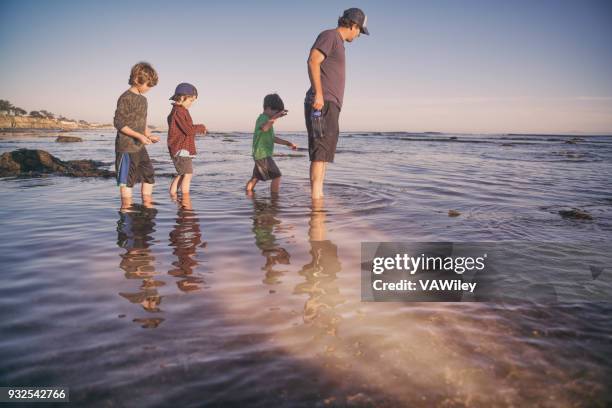 father and sons enjoying a beautiful evening on the tide pools in santa barbara. - barbara young stock pictures, royalty-free photos & images