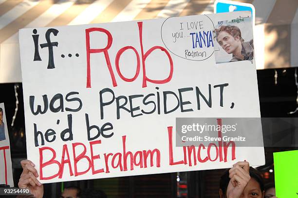 Fans attends the premiere of Summit Entertainment's "The Twilight Saga: New Moon" at Mann's Village Theatre on November 16, 2009 in Westwood,...