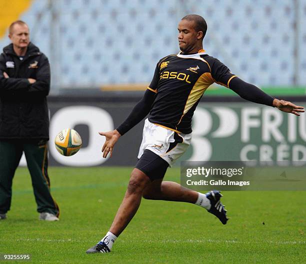 Pietersen of South Africa during the Springboks captains run session held on November 20, 2009 at the Stadio Friuli in Udine, Italy.