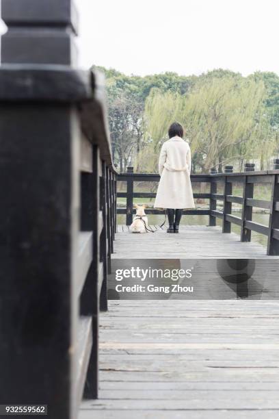 young woman walking her dog on footbridge - chinese bulldog stock pictures, royalty-free photos & images