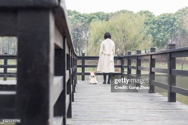 young woman walking her dog on footbridge - chinese bulldog stock pictures, royalty-free photos & images