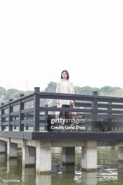 young woman walking her dog on footbridge - chinese bulldog stock pictures, royalty-free photos & images