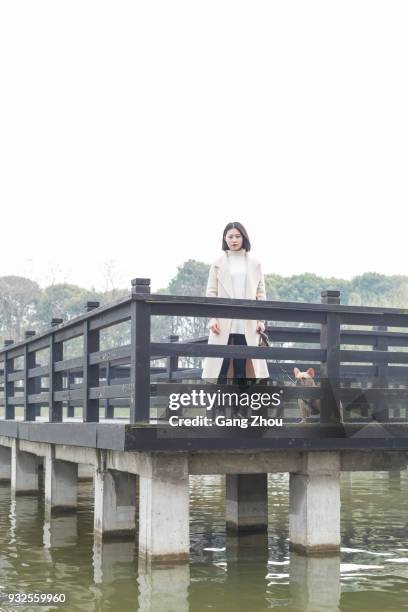 young woman walking her dog on footbridge - chinese bulldog stock pictures, royalty-free photos & images