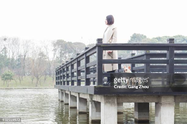 young woman walking her dog on footbridge - chinese bulldog stock pictures, royalty-free photos & images