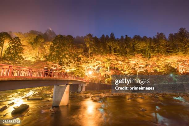 shiraito wasserfall im herbst saison mit grünen und roten ahornbaum - nagano prefecture stock-fotos und bilder