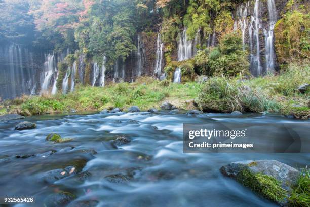 shiraito wasserfall im herbst saison mit grünen und roten ahornbaum - nagano prefecture stock-fotos und bilder