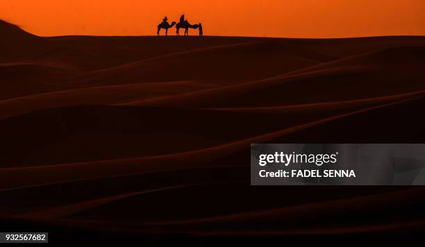 Camels walk on the sand during the "Gallops of Morocco" equestrian race in the desert of Merzouga in the southern Moroccan Sahara desert on March 1,...