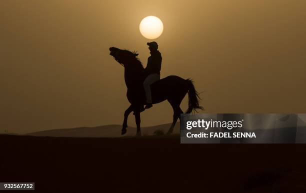 Rider competes during the "Gallops of Morocco" equestrian race in the desert of Merzouga in the southern Moroccan Sahara desert on March 1, 2018.