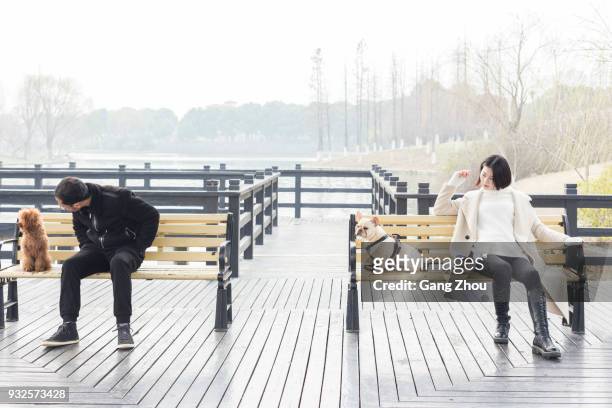 公園長椅上的寵物放鬆的年輕人和婦女 - stranger 個照片及圖片檔