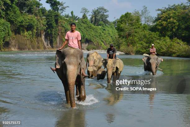 People seen riding elephants. At Elephant and Ecotourism Gunung Leuser National Park tourists can help bathing elephants on the outskirts of Gunung...