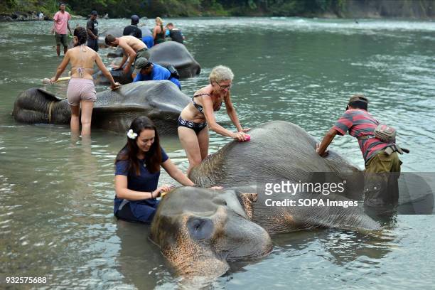 Tourists seen bathing an elephant. At Elephant and Ecotourism Gunung Leuser National Park tourists can help bathing elephants on the outskirts of...