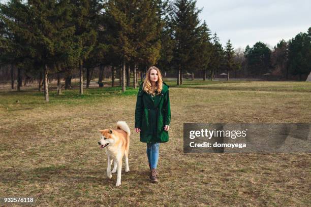 woman walking in the public park with akita dog - akita stock pictures, royalty-free photos & images