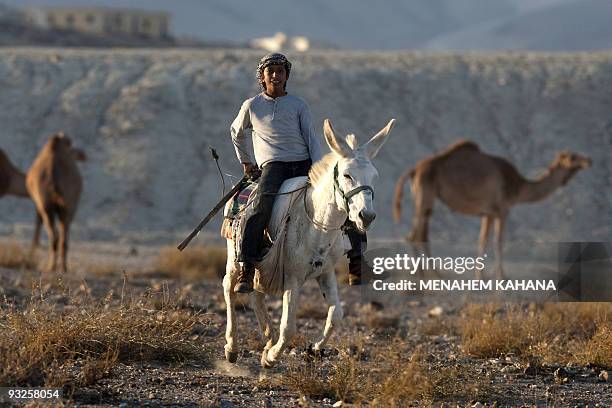 Bedouin boy rides a donkey in the Jordan Valley in the West Bank on November 20, 2009. AFP PHOTO/MENAHEM KAHANA