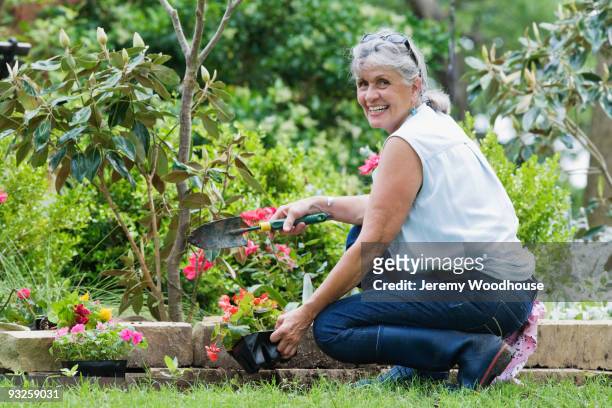 hispanic woman gardening - flower bed stock pictures, royalty-free photos & images