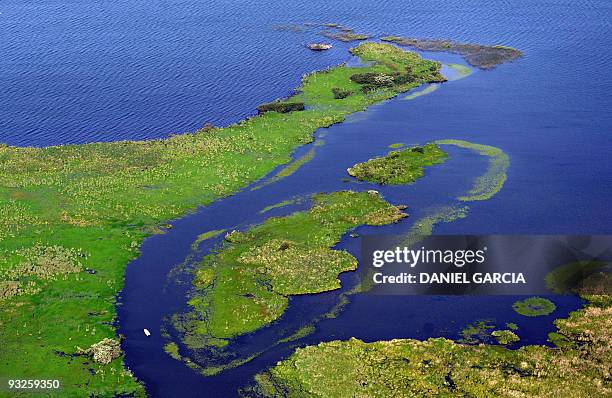 Aerial view of the marshes of "Ibera" near the town of Carlos Pellegrini, in the Argentine province of Corrientes on November 4, 2009. The marshes of...