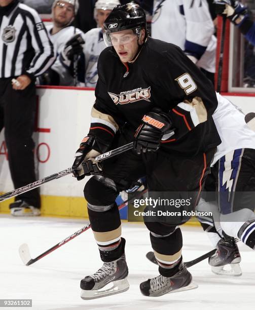 Bobby Ryan of the Anaheim Ducks chases the puck against the Tampa Bay Lighting during the game on November 19, 2009 at Honda Center in Anaheim,...