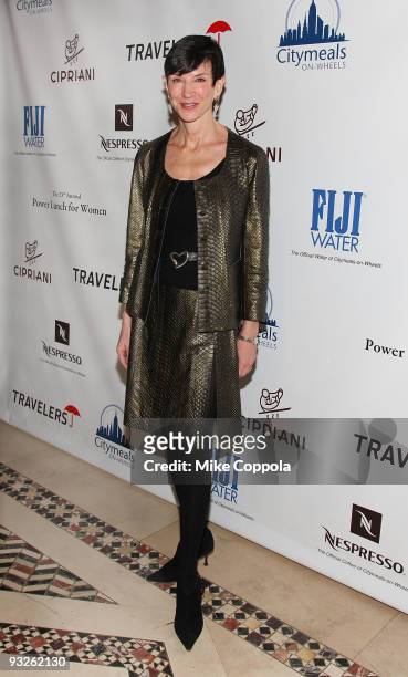 Writer Amy Fine Collins attends the Citymeals-on-Wheels 23rd annual "Power Lunch for Women" at Cipriani 42nd Street on November 20, 2009 in New York...