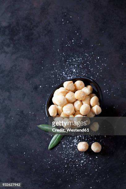 bowl of salted macadamia nut - macadamia nut 個照片及圖片檔
