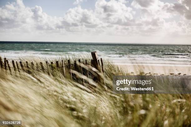 france, normandy, portbail, contentin, wooden fence at beach dune - normandie stockfoto's en -beelden