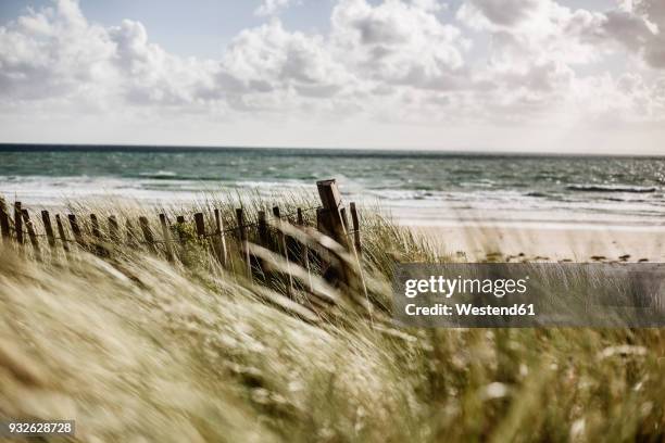 france, normandy, portbail, contentin, wooden fence at beach dune - 諾曼第 個照片及圖片檔