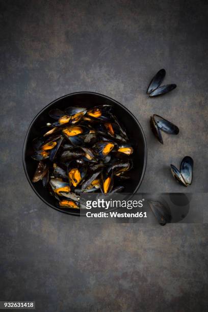 organic blue mussels in bowl - moule photos et images de collection