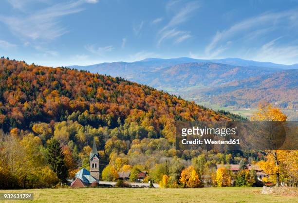 germany, bavaria, lower bavaria, bavarian forest, langfurth - mountain village stockfoto's en -beelden