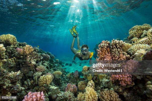 egypt, red sea, hurghada, teenage girl snorkeling at coral reef - snorkel reef stockfoto's en -beelden