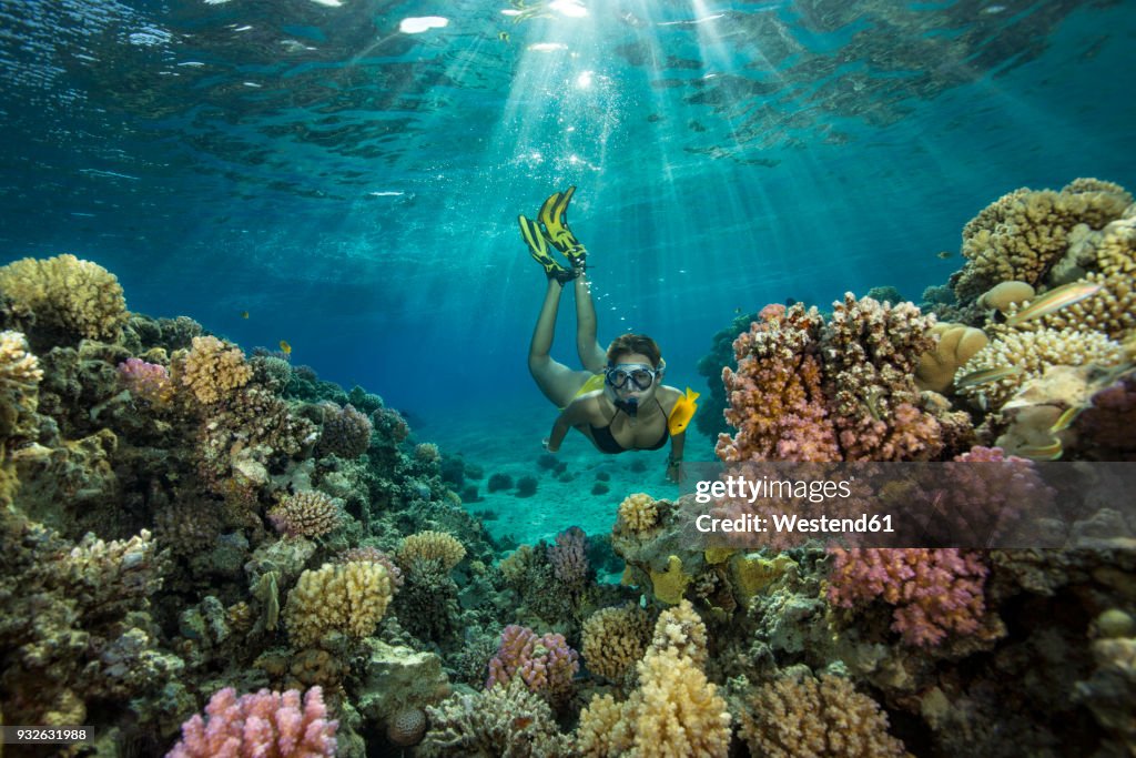 Egypt, Red Sea, Hurghada, teenage girl snorkeling at coral reef
