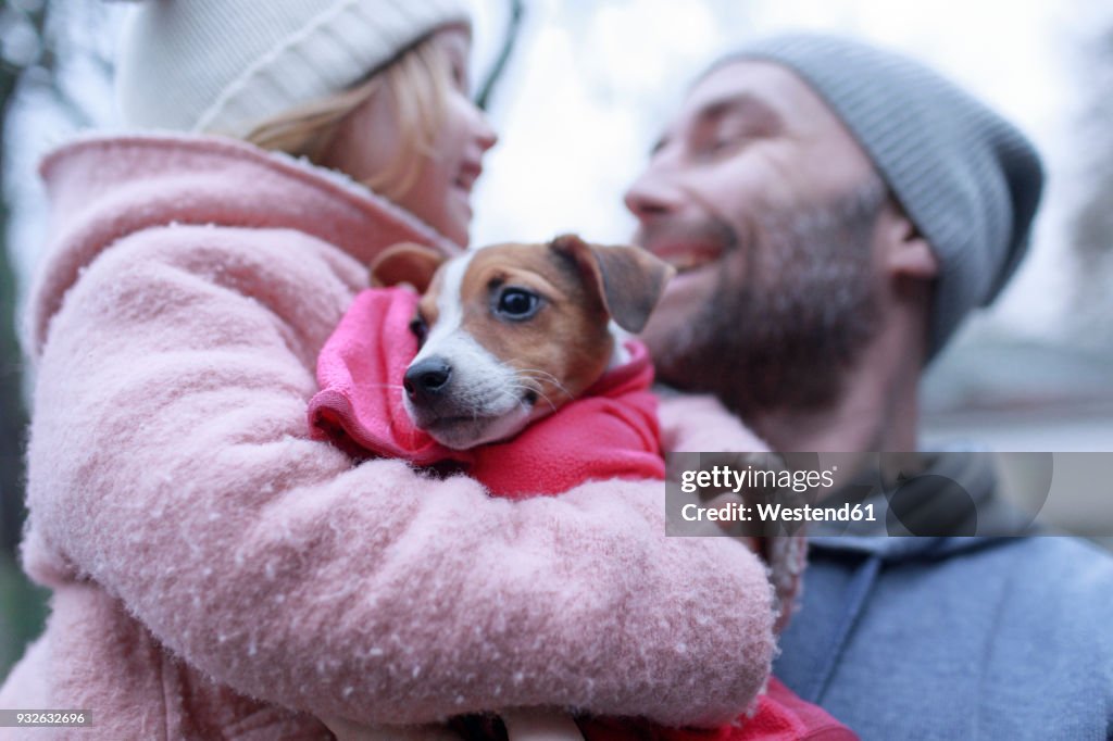 Portrait of Jack Russel Terrier puppy