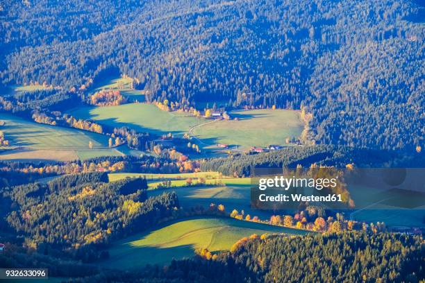 germany, bavaria, upper palatinate, bavarian forest, view from kleiner osser, autumn landscape near lohberg, lamer winkel - winkel stock pictures, royalty-free photos & images