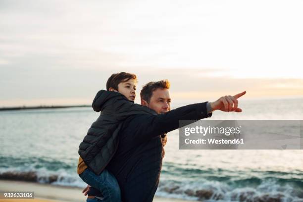 father carrying son piggyback on the beach at sunset pointing finger - boy exploring on beach stock-fotos und bilder