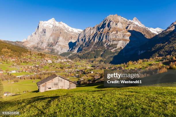 switzerland, bern, bernese oberland, holiday resort grindelwald, wetterhorn, schreckhorn - wetterhorn stock pictures, royalty-free photos & images