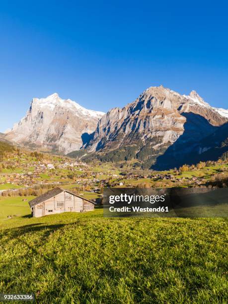 switzerland, bern, bernese oberland, holiday resort grindelwald, wetterhorn, schreckhorn - schreckhorn stock-fotos und bilder