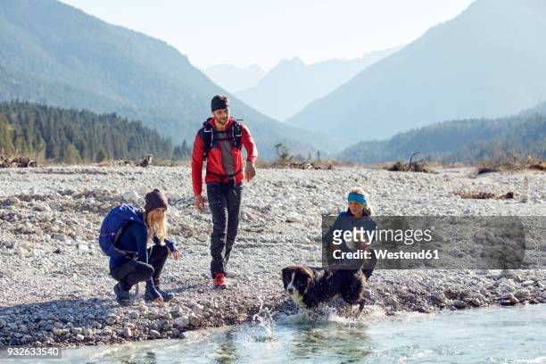 germany, bavaria, karwendel, group of friends hiking with dog at the riverside - hiking across the karwendel mountain range stock pictures, royalty-free photos & images