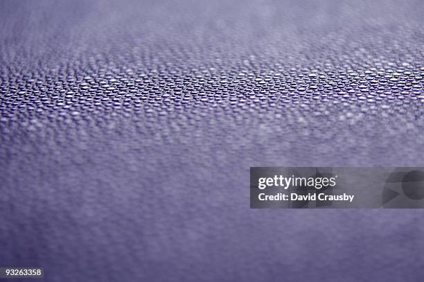 purple globular texture - crausby stockfoto's en -beelden