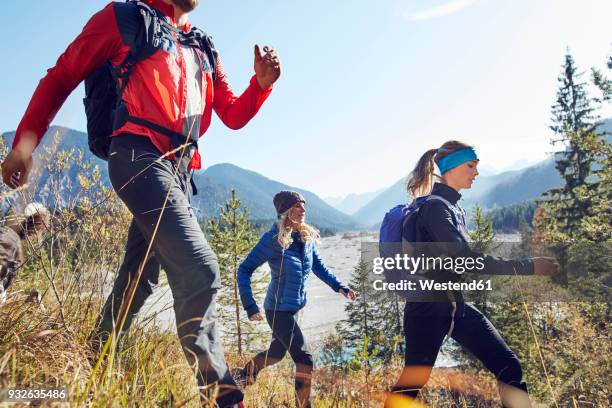 germany, bavaria, karwendel, group of friends hiking in the mountains - hiking across the karwendel mountain range stock pictures, royalty-free photos & images