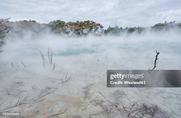 new zealand, north island, rotorua, thermal lake - lake rotorua bildbanksfoton och bilder