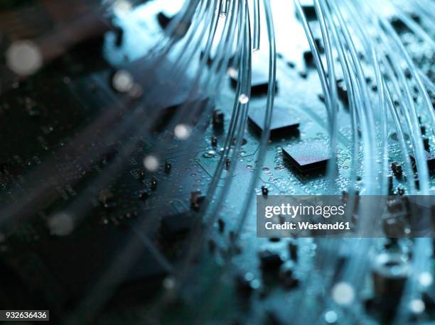 Digitized Texture Photos and Premium High Res Pictures - Getty Images