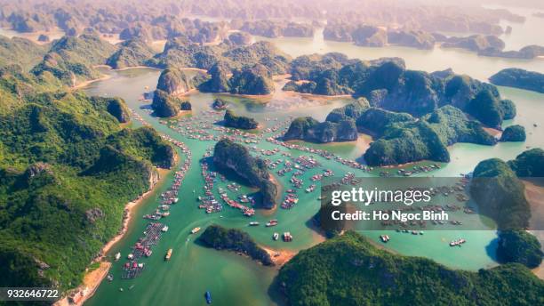 cai beo floating village, cat ba island from above - halong bay vietnam stock pictures, royalty-free photos & images