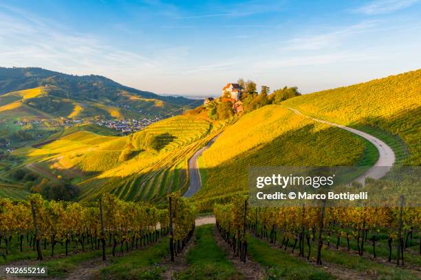 staufenberg castle, black forest, germany. - fribourg en brisgau photos et images de collection