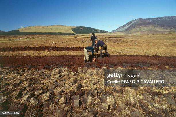 Farmers cutting peat turf near Dun Laoghaire, County Dublin, Ireland.