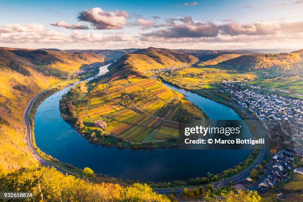 moselle river, germany. - moselle stock pictures, royalty-free photos & images